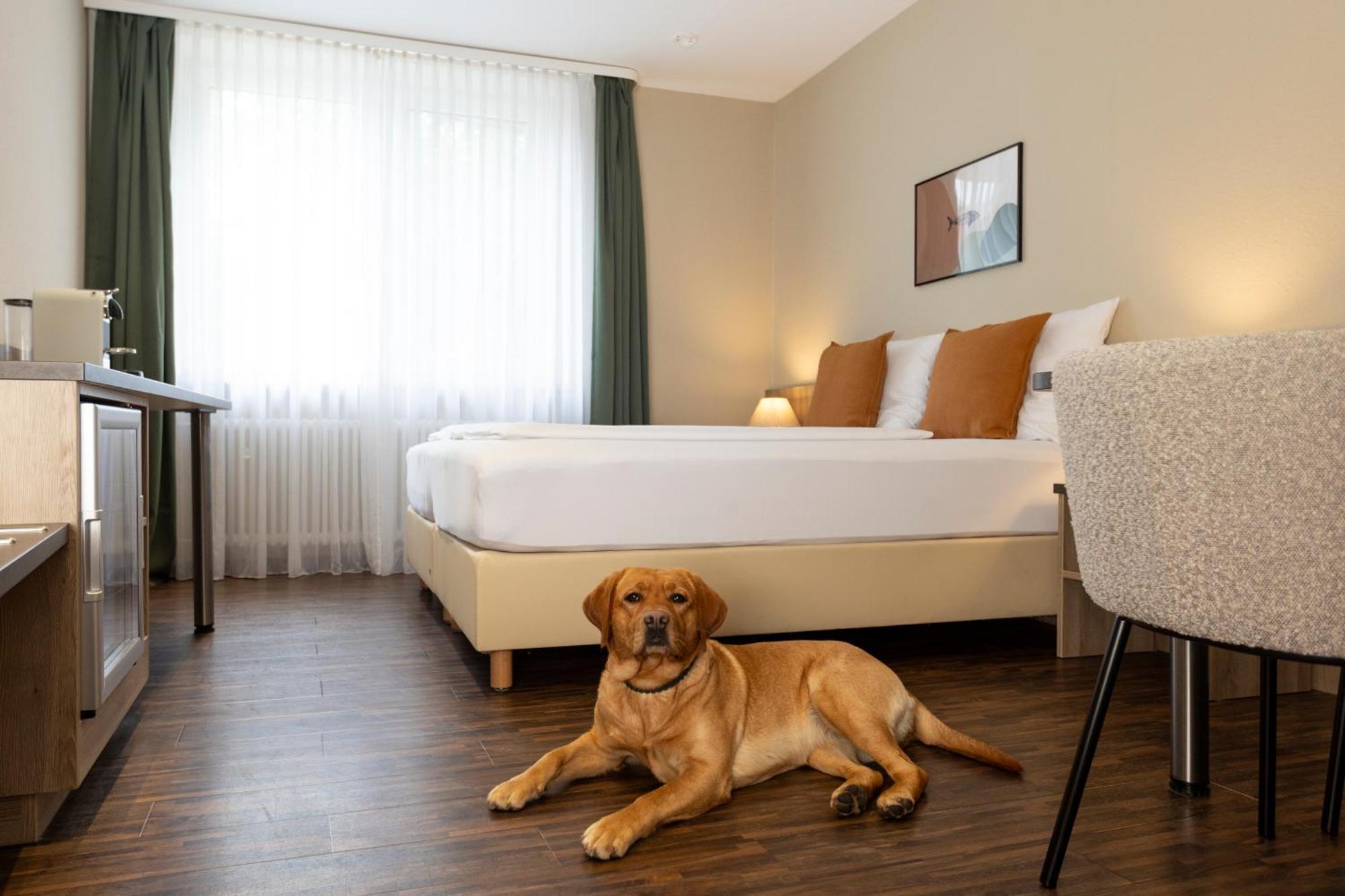 Hotel Fischzucht In Wuerzburg Eksteriør billede